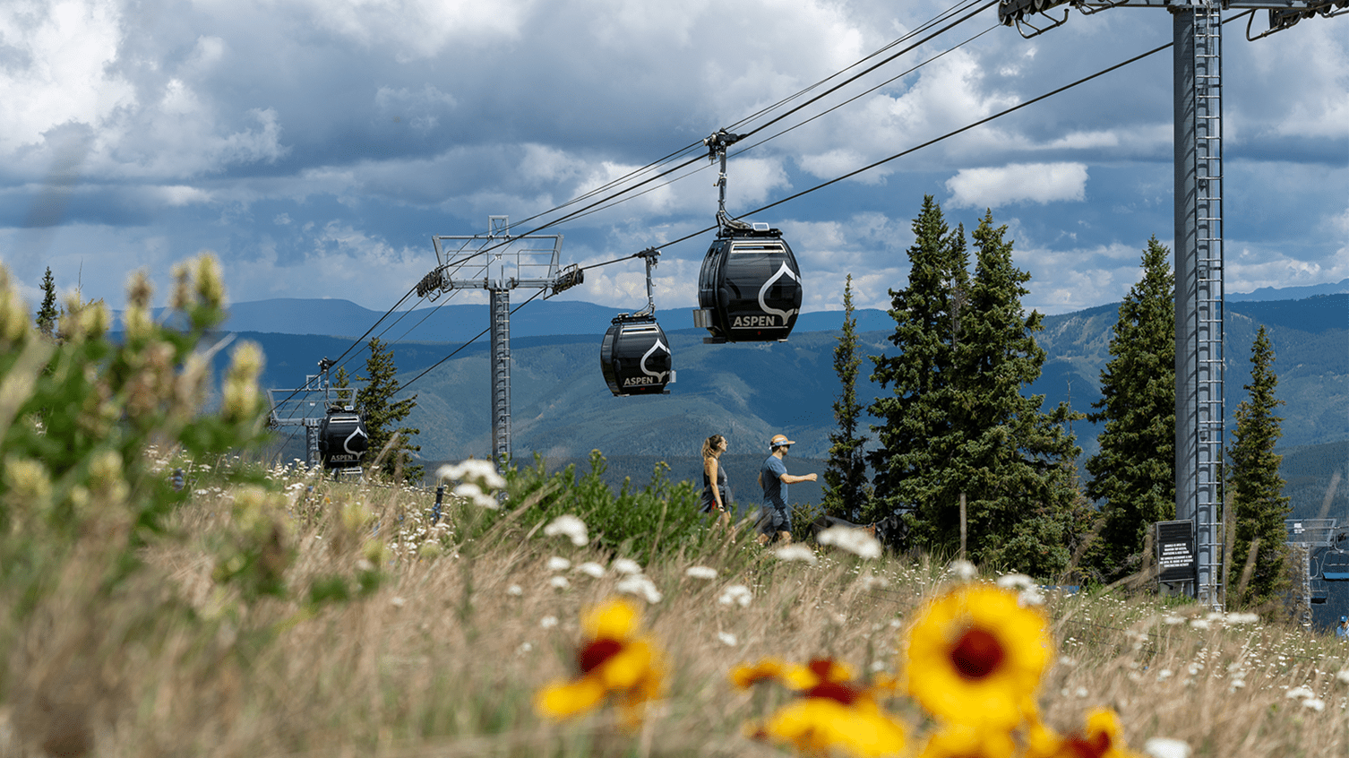 Silver Queen Gondola in the summer, guests hiking underneath, and orange flowers in foreground 