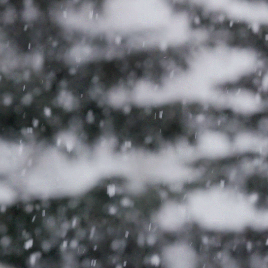 snow falling snow on a black background