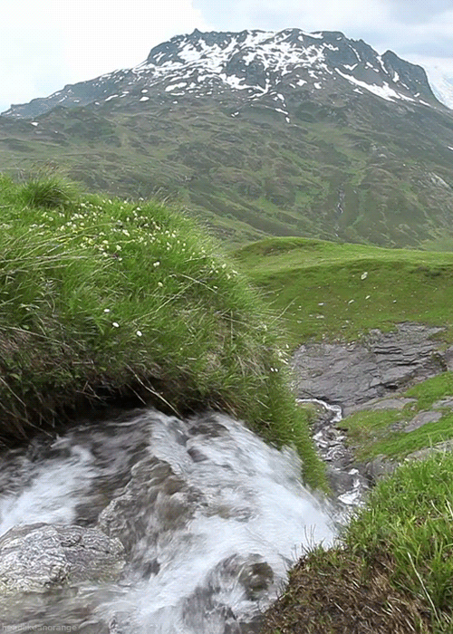 a stream running through a grassy area