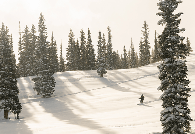 Long view of big Burn at Snowmass Ski Resort, skier cruises through an open run in the powder