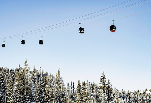 Gondola over snow trees at Aspen Ski Resort