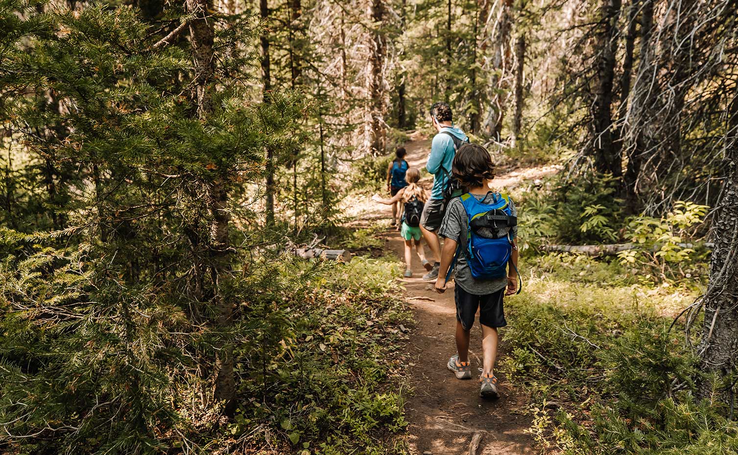 Elevated Journey Hiking | Lost Forest | Snowmass, Colorado