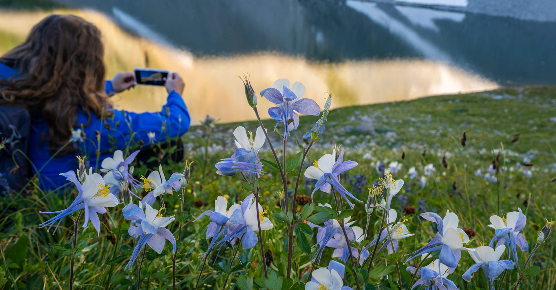 A woman takes pictures of Columbine flowers by an alpine lake near Aspen
