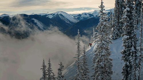 Aspen Skier Untouched Line