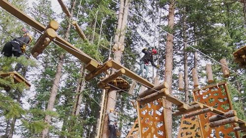 Still image of Snowmass Lost Forest Treeline Trial Challenge Course